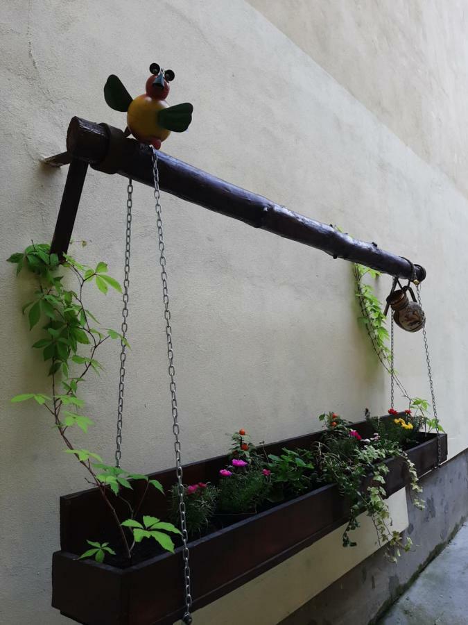 Luky10 Appartement Braşov Buitenkant foto